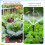 200pcs 2L Dripper, Pressure Compensated Drip Dripper, Used for Drip Irrigation System 2