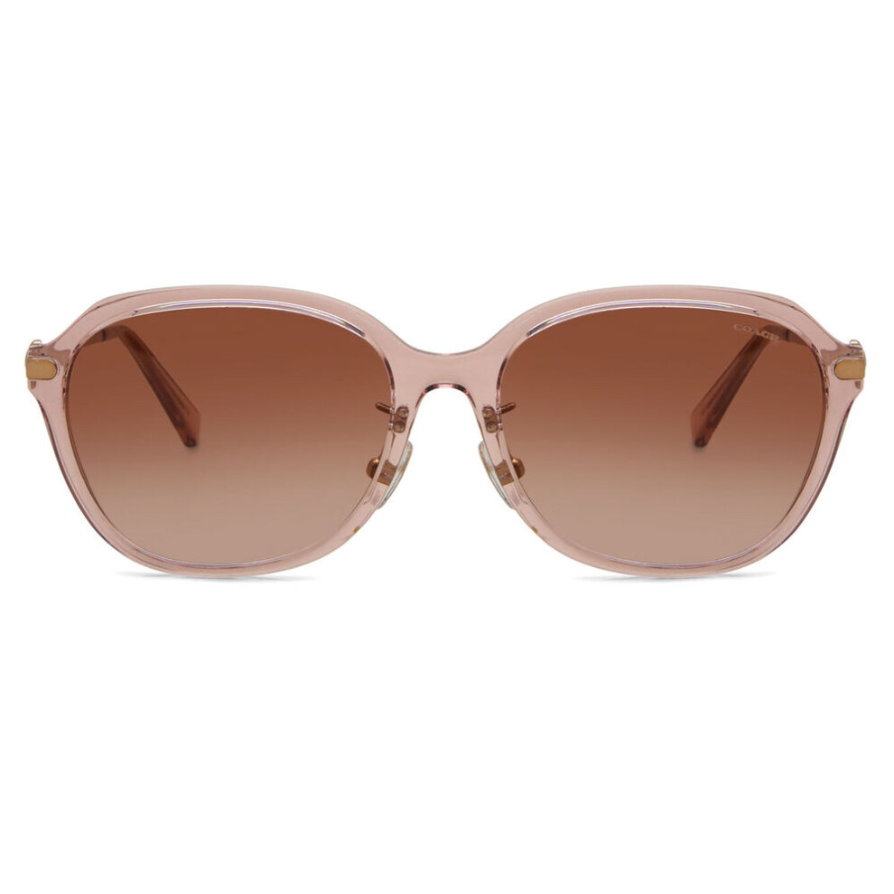 Coach Hc8332d C6199 Asian Fit 566613 Women New Sunglasses Multicoloured
