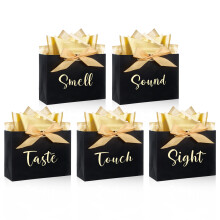 5 Senses Gift Bags with 10 Sheets Tissue Paper, 281020 cm Reusable Black Gift Bags for Creative Gifting