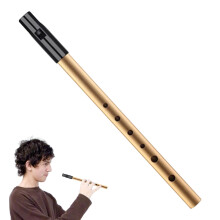 Tin Whistle D,Professional Six-Hole Penny Whistle Gold,Premium Irish W