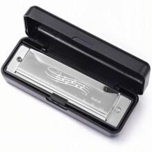 10-Hole Harmonica in Key of C, Blues Harmonica for Adults Beginners with Case – 20-Tone Silver Mouth Organ for Learning, Practice, Gifts (Silver)