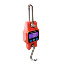 C06B 300 Kg/50 G Przenośna Elektroniczna Waga Hakowa z Funkcją Ładowania i , Miniaturowa Waga Podnosząca do Użytku Domowego