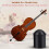 Double Bass Endpin Protector - 2pcs Double Bass Endpin Rubber Tip Stopper Black Protector End Cap Accessory 4