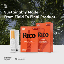 D’Addario Woodwinds - Rico Baritone Sax Reeds - Baritone Saxophone Reeds - Baritone Reeds Crafted for Beginners, Students, Educators - Strength 3.0,