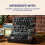 MOOG Subharmonicon Semi-Modular Analog Polyrhythmic Synthesizer with Dual Sequencer, MIDI, and Patch Bay 6