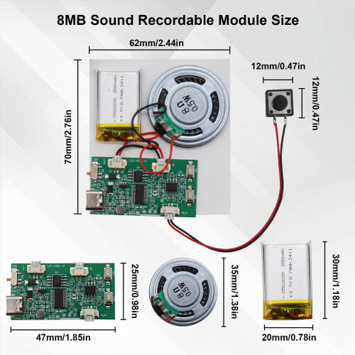 USB Audio Module AYWHP 2pcs Type-C Module Audio Chip MP3 with Rechargeable Batte 1