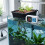 XK-W2001 Digital Temperature Controller Socket AC 110-220V Thermostat Regulator Socket Outlet with NTC Sensor EU Plug 5