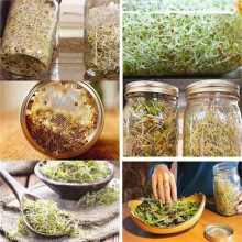 Kit de Germination de Graines avec 2 Bocaux à Large Ouverture, Kit de Culture de Germes de Haricots, Bocal de Culture de Micro-Pousses avec Tamis à