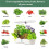 Advanced Indoor Hydroponics System: LED Grow Light,  Water Pump, 12 Pods - White US Plug 6