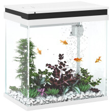 Klein, compleet glazen aquarium van 14 liter met filtersysteem, ledverlichting en waterpomp. Wit.