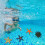 Toy Model Animal Children Science Education Simulation Creature Starfish Sea 5