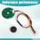 Rotary Hall Magnetic Encoder 775 Reduced  Motor Code Disc 795 Motor Speed Measurement Direction 775-P16 3