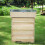 Living And Home Wooden Beehive Starter Kit 2