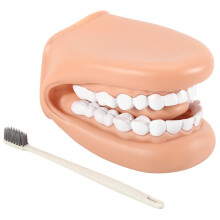 1Pcs Mouth Puppet with Tongue Teeth Mouth Hand Puppet Dental Mouth Model with Toothbrush for Boy Girl Educational Tool