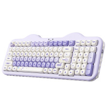 YUNZII C98 Wireless Mechanical Keyboard with Number Pad,98 Key BT5.0/2.4G/USB-C Hot Swap Gasket Mount keyboard,Custom RGB backlight,Cute Cake Keyboar