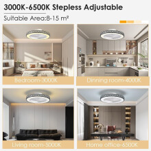 Low Profile Ceiling Fans with Lights and Remote, 20" Modern Enclosed Ceiling Fan with Light, Reversible Airflow Fan Light with 3000-6000K Dimmable&6