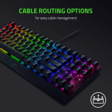 Razer BlackWidow V3 Tenkeyless (Green Switch) - Compact Mechanical Gaming Keyboard (Clicky Mechanical Switches, Compact Form Factor, Fully Programmab