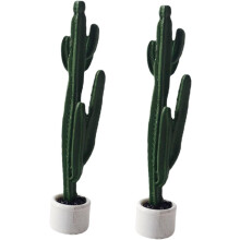 Squisito artigianato in PVC, confezione da 2 mini modelli di piante di cactus per bambini e bambine, giocattolo, casa, giardino, arredamento