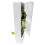 Vanilla Cup Fresh-Keeping Box Bamboo Shoot Fish Keeper Storage Container 1