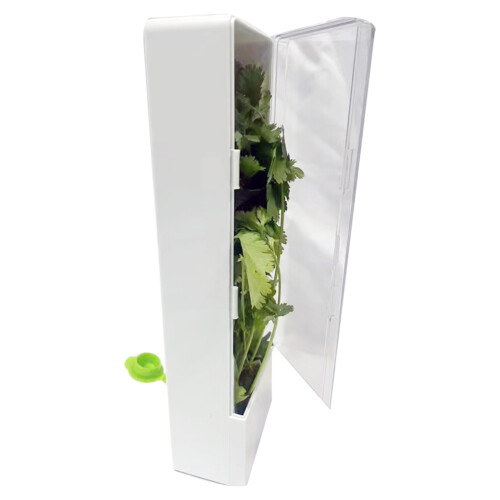 Vanilla Cup Fresh-Keeping Box Bamboo Shoot Fish Keeper Storage Container