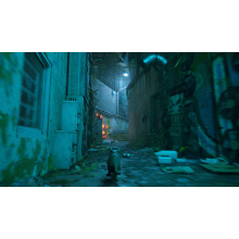 Stray PS4