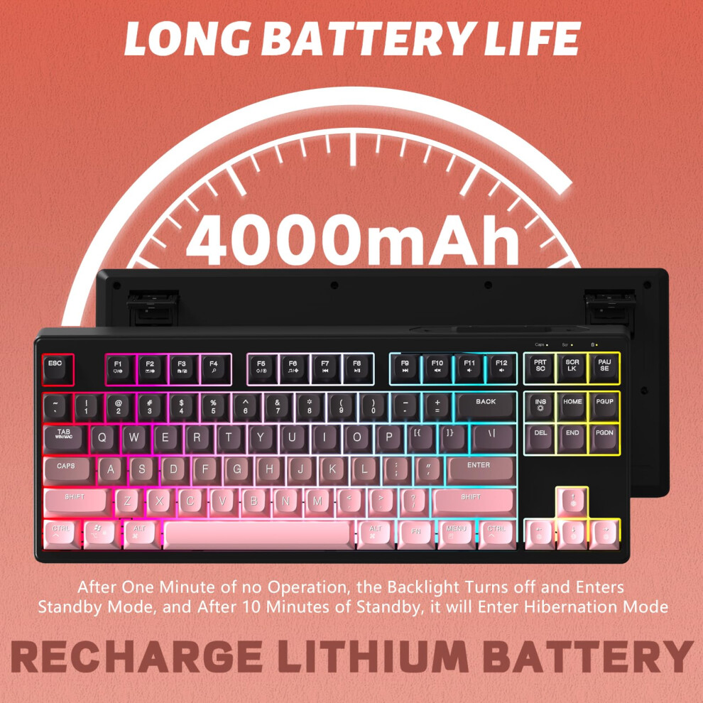 Attack Shark X Freewolf M87 80% Wireless Gaming Keyboard, 87 Keys Tkl Rainbow Backlit Mechanical Feeling Sa Pbt Membrane Keyboard Bt/2.4Ghz Connect W 5001083778058