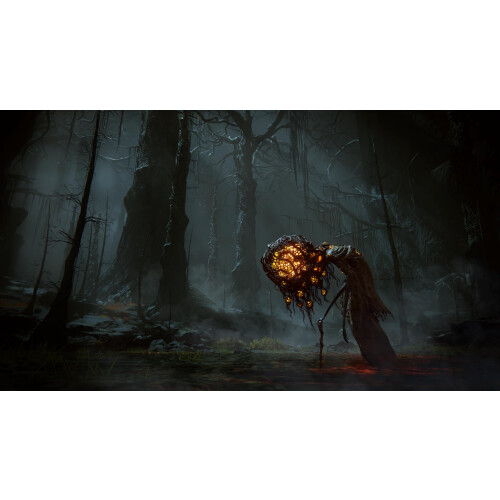 ELDEN RING Shadow of the Erdtree Edition (PS5) 1