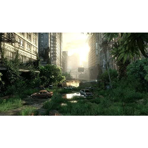 Playstation The Last of Us: Remastered (PS4) 2