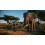 Planet Zoo: Console Edition (Xbox Series X) 5