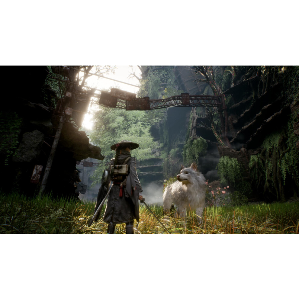 Beast Of Reincarnation Deluxe Edition (Playstation 5) 5003080508027