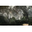 Call of Duty: Ghosts (PS3) 5
