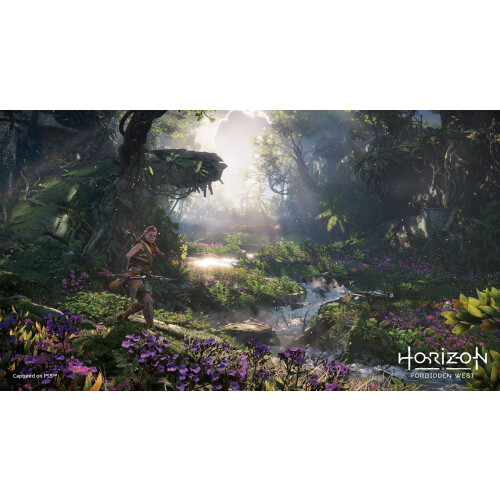 Playstation Horizon Forbidden West (PS5)