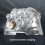 Xbox Xbox Microsoft Wireless Controller Ghost Cipher Special Edition - Wireless & Bluetooth Connectivity - New Hybrid D-Pad - New Share Button - Featuring 4