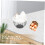 Eggs Basket Mesh Storage Baskets Reliable Egg Holder for Kitchen Portable Easy Drainage 2