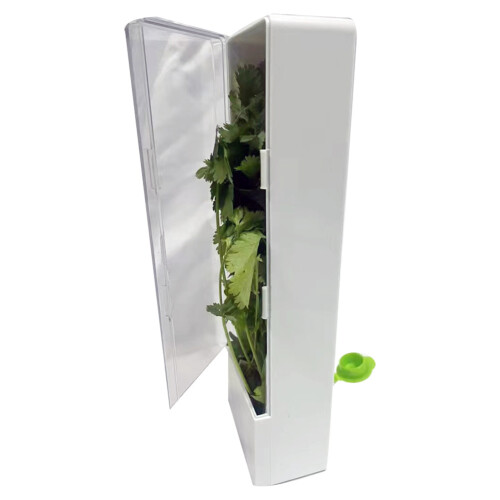Vanilla Cup Fresh-Keeping Box Bamboo Shoot Fish Keeper Storage Container 2