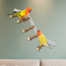 Bird Perch Parakeet Climbing Ramp Suction Cup Space Saving Bird Cage Perch for Parakeet Cockatiel for Wall B