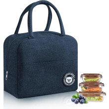 Mini Insulated Lunch Bag Waterproof Portable Small Lunch Tote for Adult Kids School Office Picnic Blue