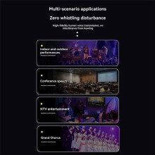 4 Channels Microphone Anti-Howling Device, Front Stage Effector,Suppressor Frequency Shift Equalizer Black EU Plug