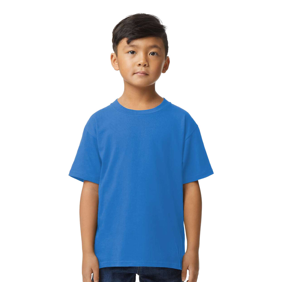 Gildan (12-14 Years, Royal ) Childrens/Kids Midweight Soft Touch T-Shirt Blue