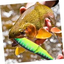 Pesca a galleggiante, pesca alla trota, accessori per la pesca, 1 esca morbida 3D con coda galleggiante, design realistico per la pesca in lago/stagno