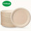 Thickened disposable plates 1