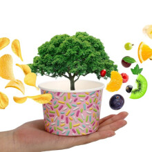 Gobelets en papier pour glaces, 50 pièces, pour les fêtes d'été.