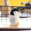 Pinguin-Rucksackanhänger aus Plüsch 1
