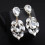 Elegant Drop Earrings 1