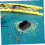 Hook Knot Tying Tool Compact Magnetic Fishing Accessory for Quick Bait Hook Threading 6