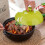 Ceramic casserole for gas oven 3