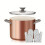Universal non-stick pot with lid 4