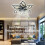 Ceiling light with fan 3