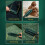 Reusable 2-in-1 lint removal brush without batteries. 3