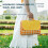 Camping Picnic Mat Beach Blanket Portable Foldable 3